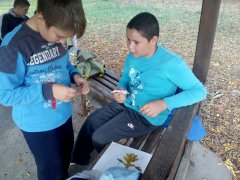 IMG_20171018_161032.jpg